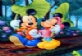 Mickey Mouse Yap Boz