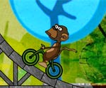 Bisikletçi Maymun