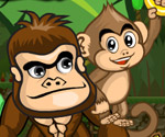 Sevimli Maymunlar