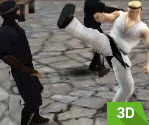 3D Karate King