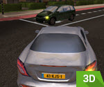 3D Özel Şoför