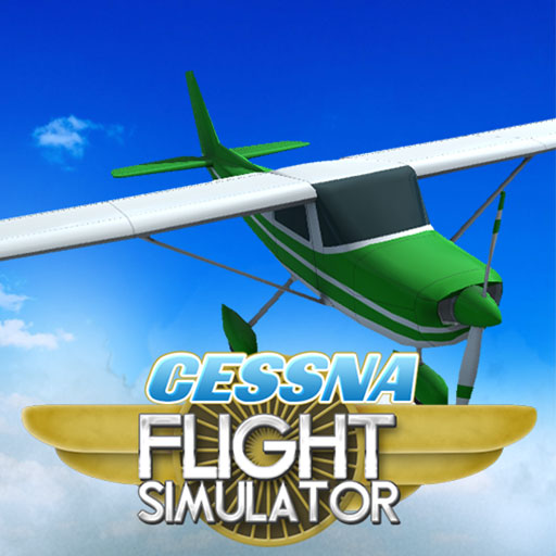 Gerçek Uçak Simülasyonu
