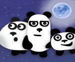 3 Panda Gece