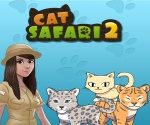 Kedi Safari