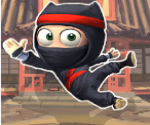 Ninja İntikamı