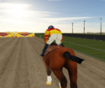 3D At Koşusu Eğitimi
