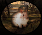Katil Tavşan