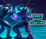 Robot Ring Dövüşü