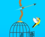 Kuşları Özgürleştir