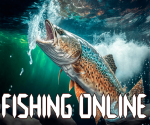 Online Balıkçılık Simülasyonu