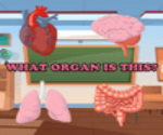 Hangi Organ?